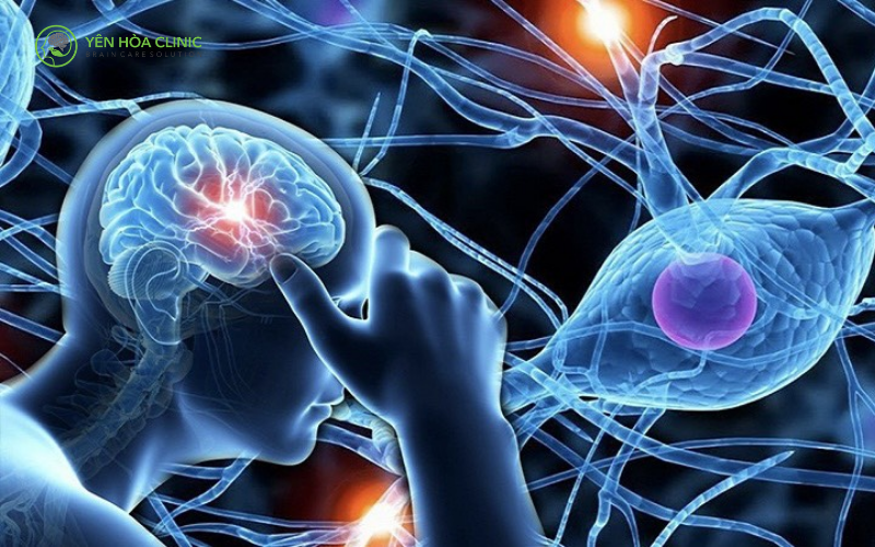 Não bộ phản ứng như thế nào khi chúng ta căng thẳng.png